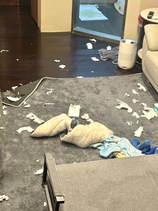 Destroyed living room