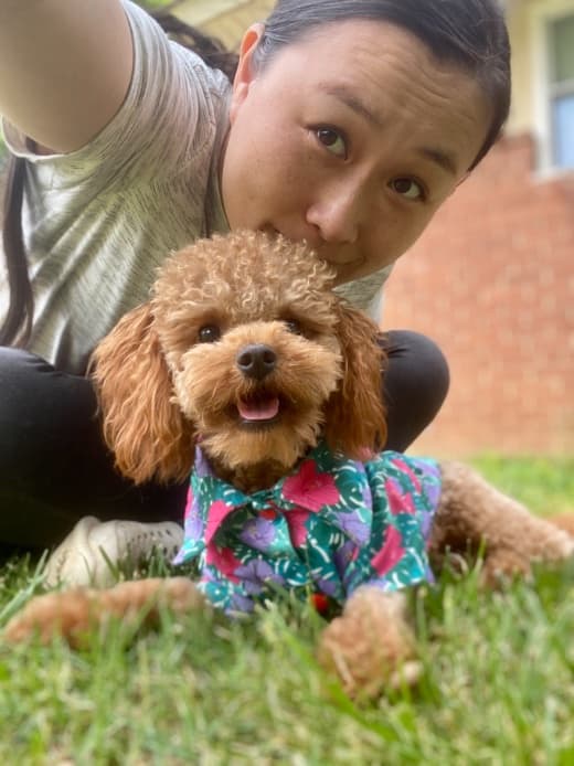 Working with a puppy