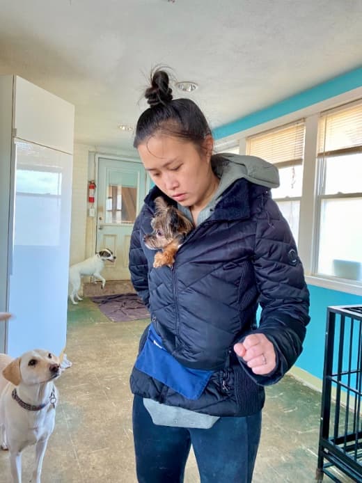 Jess with dogs in training